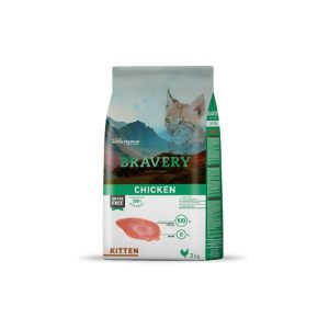 BRAVERY KITTEN CHICKEN