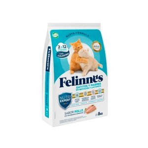 Felinnes-gatitos-y-madres-en-gestacion-y-lactancia