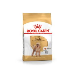 ROYAL CANIN POODLE ADULTO