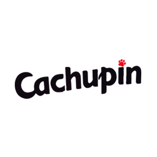 cachupin