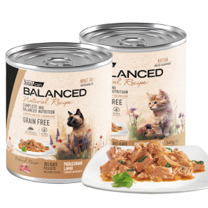Latas Balanced Nature Recipe Gatos 340 Gr Variedades
