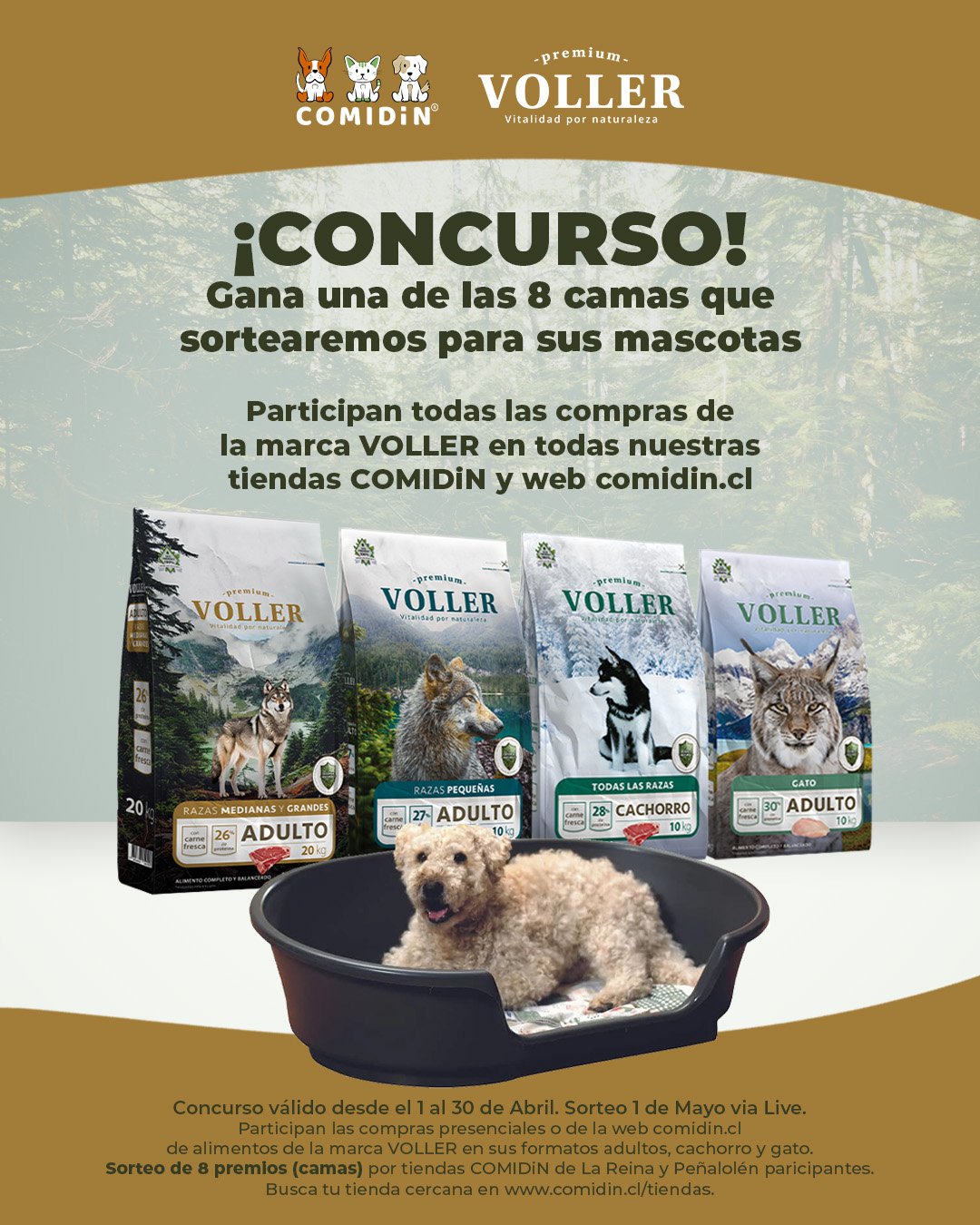 Concurso VOLLER COMIDiN