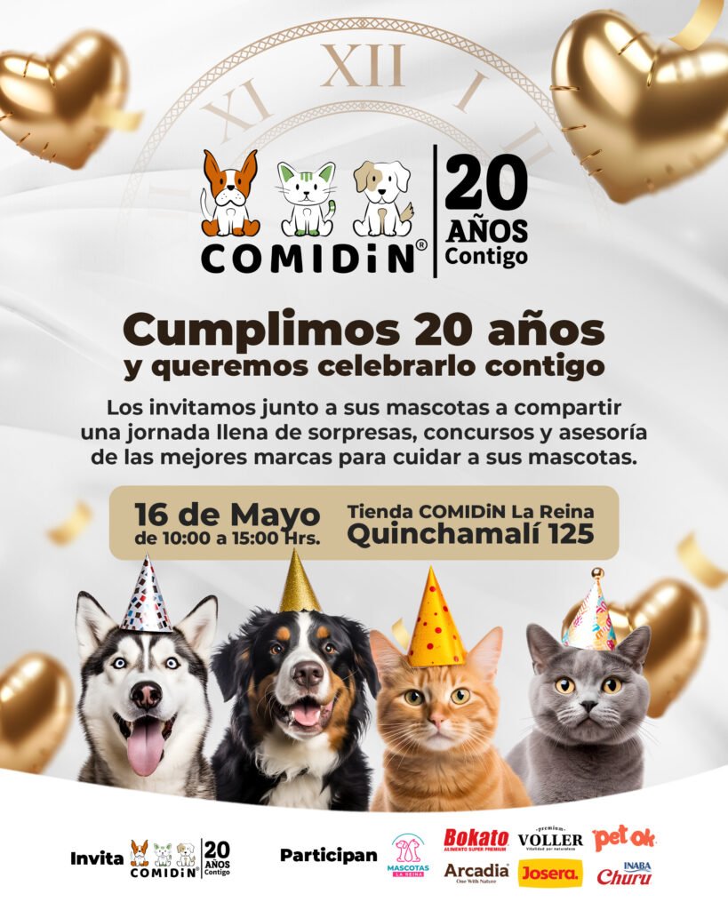 Aniversario COMIDiN 20 Años