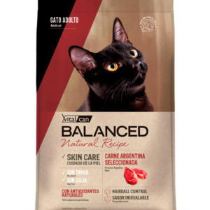 VITALCAN BALANCED GATO NATURE RECIPE CARNE 3 KG